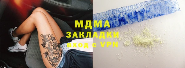 шишки Няндома