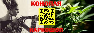 мдпв Владимир