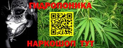 каннабис Вышний Волочёк