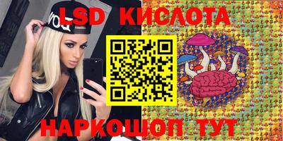 мдпв Владимир
