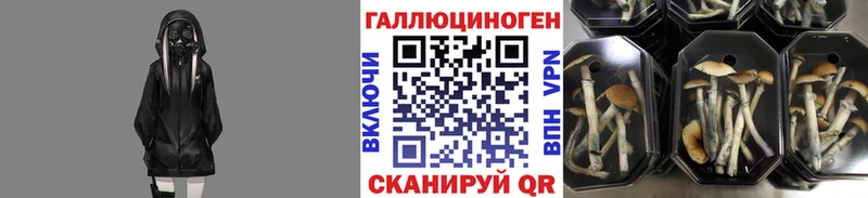 Псилоцибиновые грибы прущие грибы  Брянск 