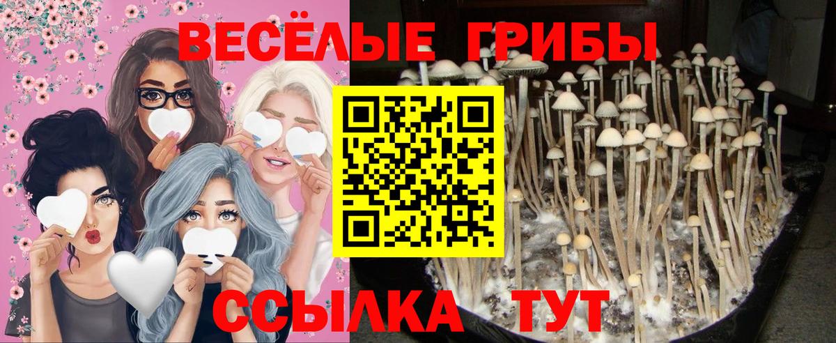 Псилоцибиновые грибы Psilocybine cubensis  Вход с VPN  Галлюциногенные грибы Magic Shrooms  Брянск 